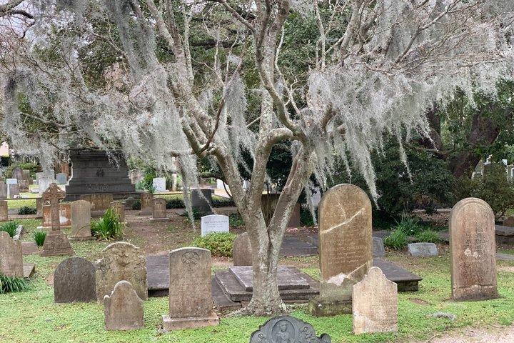 Charleston's Ultimate 3 Self Guided Walking Tours Bundle