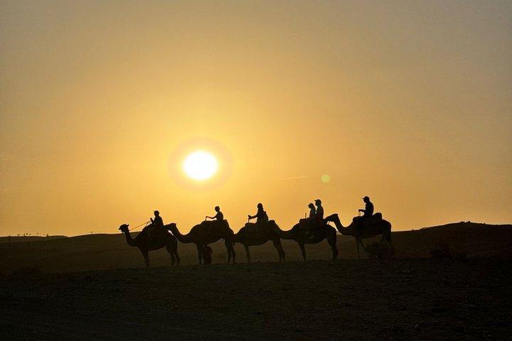 Marrakech: Agafay desert Quad, sunset camel ride and dinner show