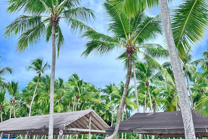 サンオナ島ツアー全日プンタカナ発ツアー付き