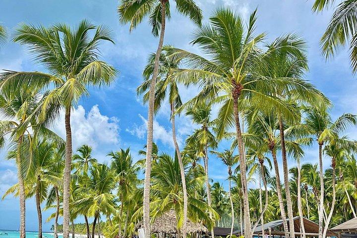 サンオナ島ツアー全日プンタカナ発ツアー付き