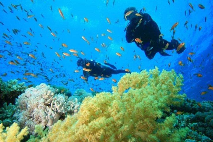 Buceo de día completo en Hurghada