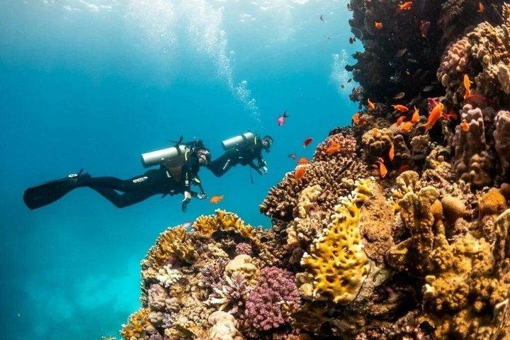 Buceo de día completo en Hurghada