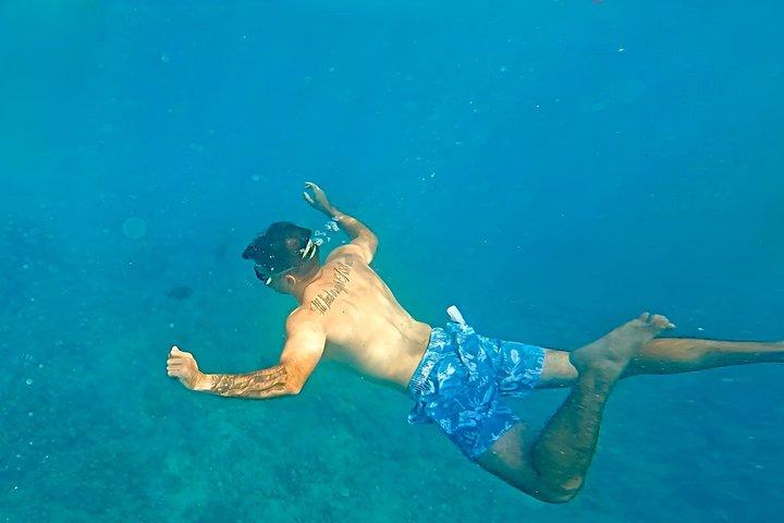 Snorkeling Adventure at Turtle Canyon