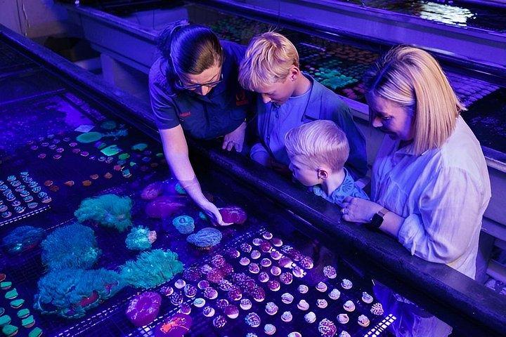 One Hour Coral Farm Tour, Discover Australia's Marine Life
