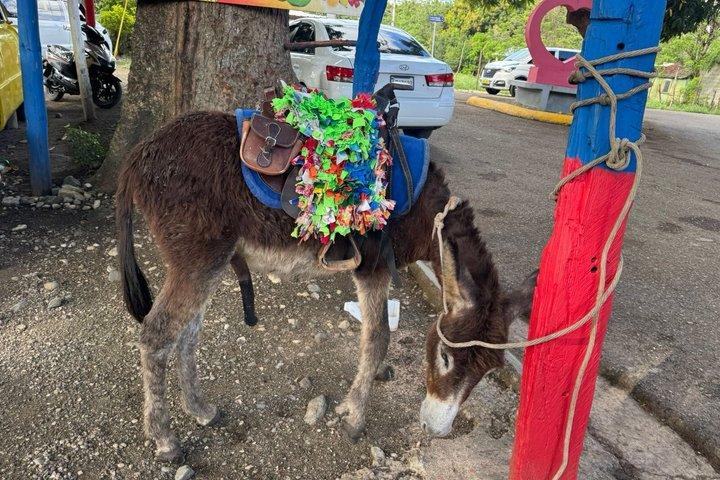 Experiência cultural e gastronômica VIP na República Dominicana