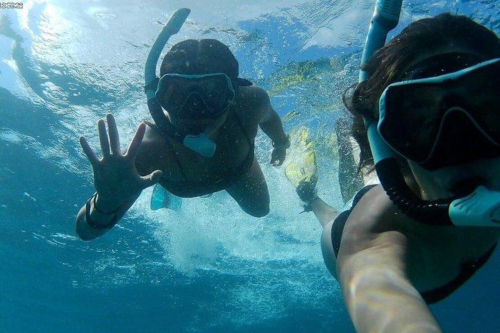Sea Turtle snorkeltur