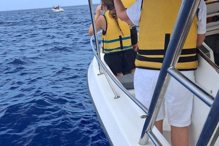 Whale watching
