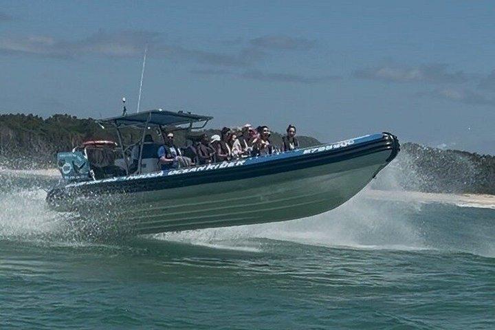 ヌーサ・ホエールウォッチングクルーズ–ザトウクジラアドベンチャー