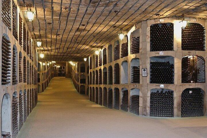 ミレスティ・ミチ地下ワイナリーツアー（ワインの試飲を含む）