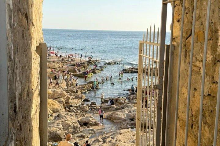タンジェ発プライベートアシーラ日帰り旅行-メディナ、海岸＆自由時間