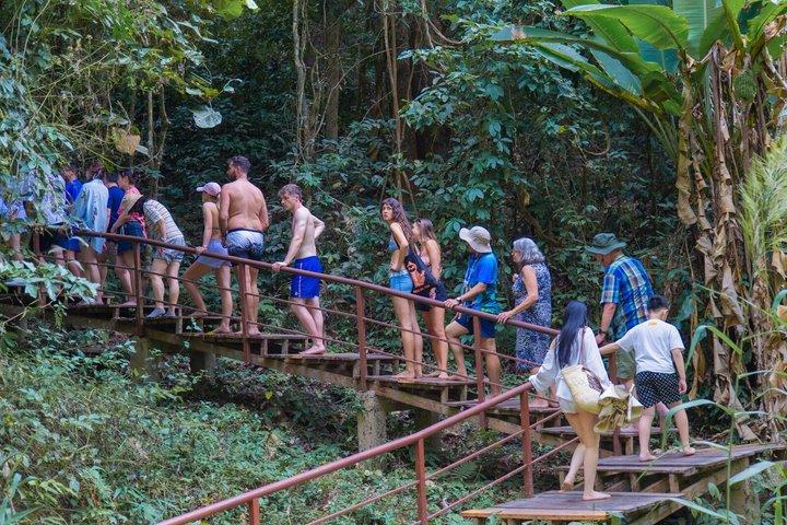 チェンマイ：ダンテワダ、スティッキーウォーターフォール、ワットバンデン ツアー