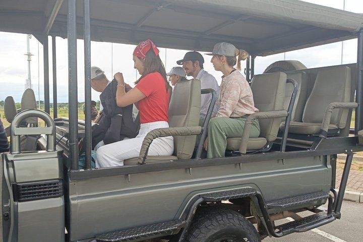 Full-day Safari Tour in Chobe