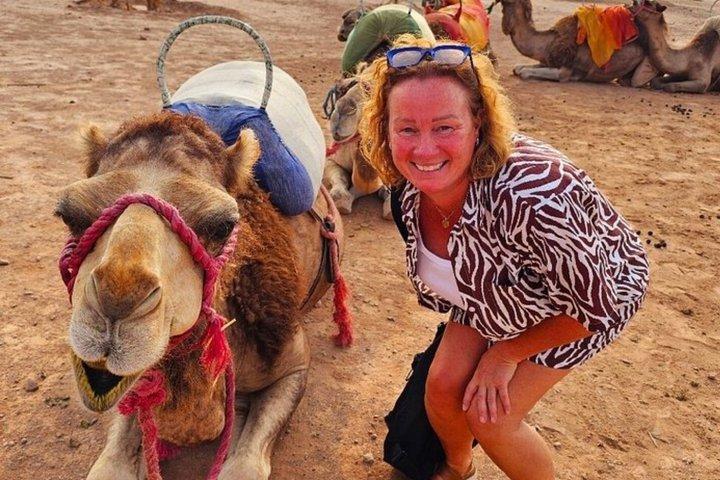 Explore Marrakech in VIP style – Multilingual private chauffeur