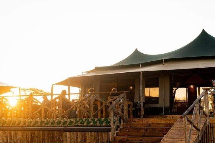 7 giorni di lusso all inclusive Safari Tarangire a Serengeti
