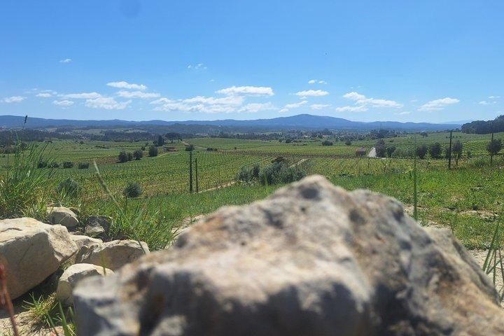 Bairrada Experience Journée complète avec un sommelier local