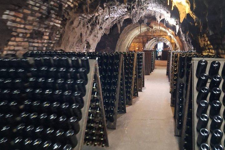 Bairrada Experience Journée complète avec un sommelier local