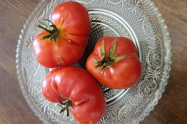 サントリーニの隠れ家プライベートビレッジツアーと農場から食卓ランチ