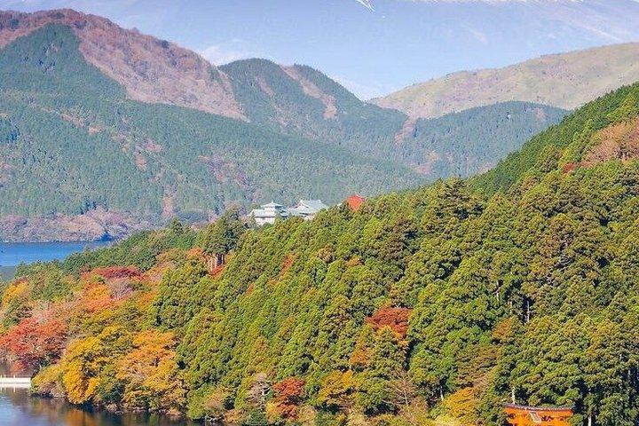 Hakone Tour Experience da Tokyo