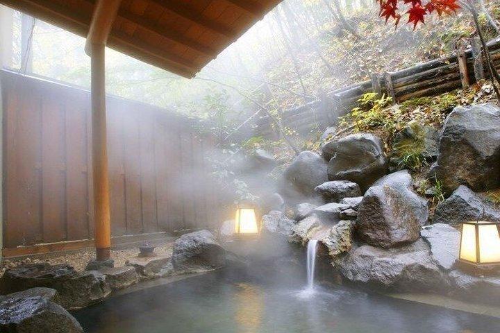 Hakone Tour Experience da Tokyo