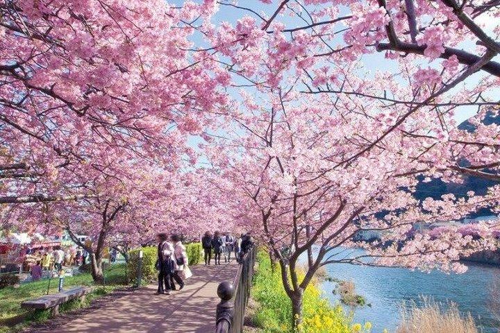 東京からの箱根ツアー体験