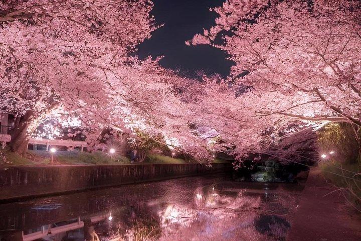 東京からの箱根ツアー体験