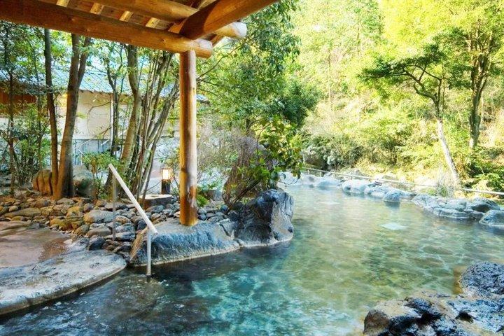 東京からの箱根ツアー体験
