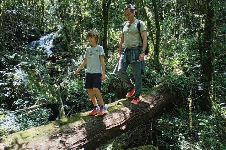 Kilimanjaro-dagwandeling