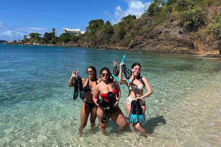 Snorkel, Sea Turtles & Beach Bar Escape PRIVATE Boat
