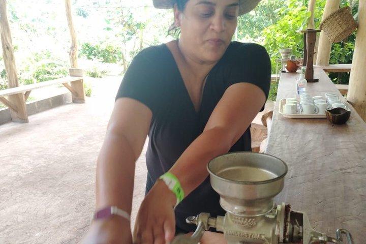 Guanacaste Meraviglie Sloths Cascate e caffè