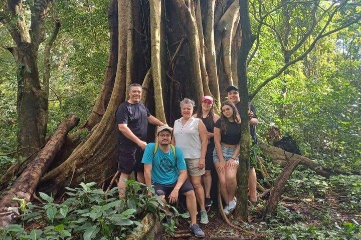 Guanacaste Meraviglie Sloths Cascate e caffè