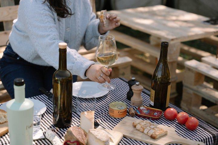 Gourmet picnic og vinsmagning blandt vinmarkerne i l'Empordà