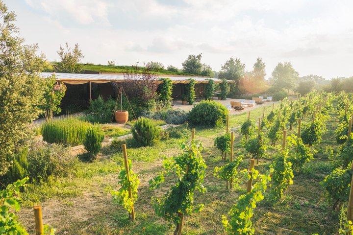 Équitation et dégustation de vin