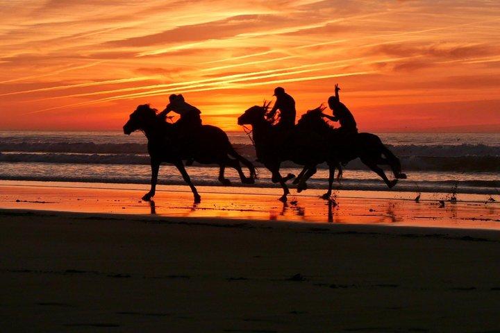 Passeggiate a cavallo al tramonto a Essaouira: deserto e oceano