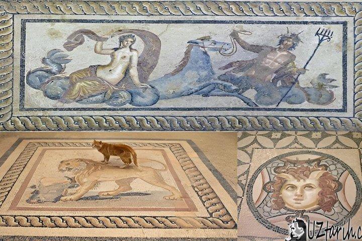 Private Ephesus Tour & Farm Lunch