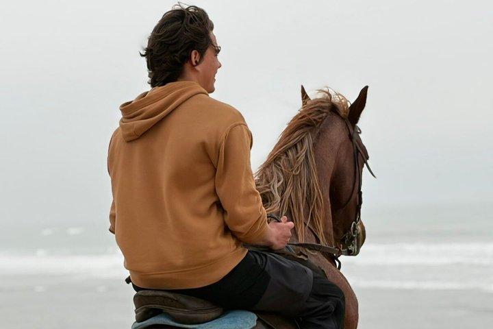 Passeggiate a cavallo al tramonto a Essaouira: deserto e oceano