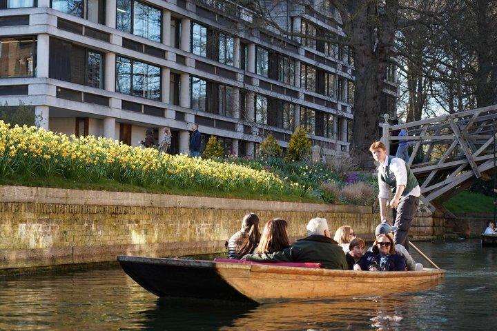 Cambridge Student-geführte gemeinsame Punkttour (Englisch oder Chinesisch)