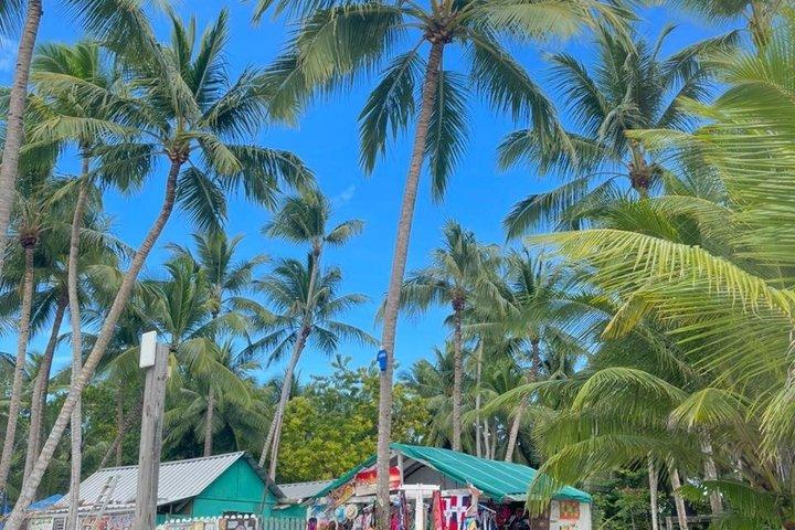 プンタカナ：サオナ島行きオールインクルーシブ・カタマランクルーズ（ドリンクとランチ付き）