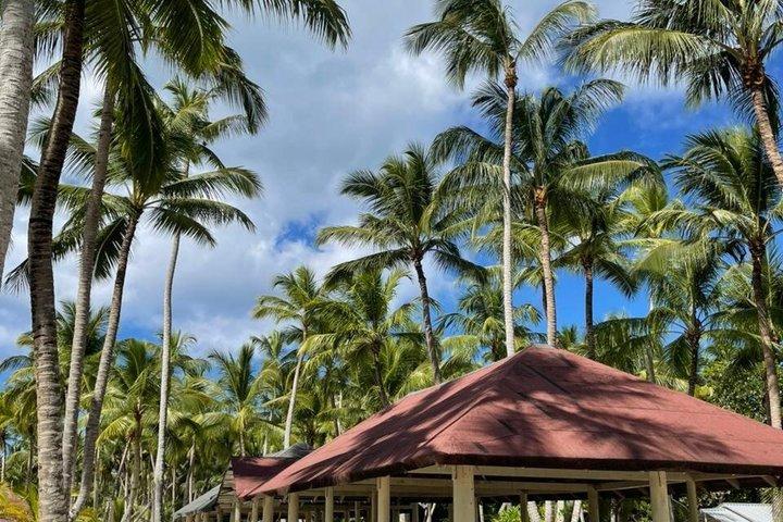 プンタカナ：サオナ島行きオールインクルーシブ・カタマランクルーズ（ドリンクとランチ付き）