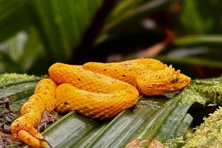 Tour combinato di Rio Celeste e Sloth Sanctuary