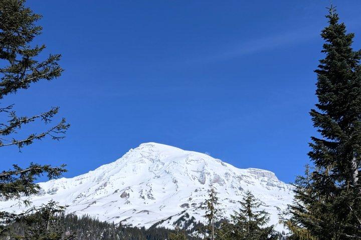 Seattle Rainer med Sprinter Van Tour