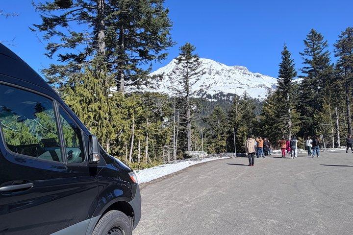Seattle Rainer med Sprinter Van Tour