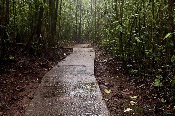 Tour combinato di Rio Celeste e Sloth Sanctuary