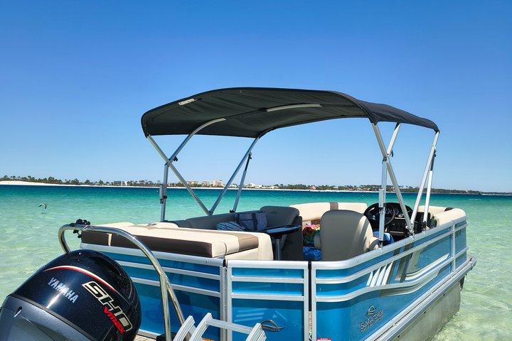 2 Hour (shared) Dolphin Tour Adventure to Shell Island