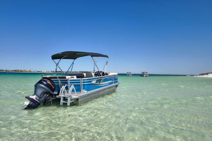 Exciting Private Dolphin Excursion to Shell Island 90 Minutes