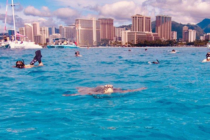 Snorkeling Adventure at Turtle Canyon