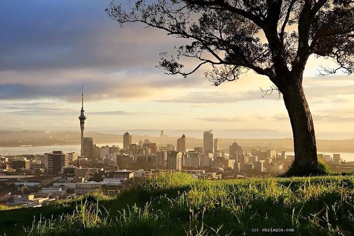 Auckland City Highlights: Mount Eden, Mission Bay & Devonport