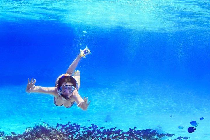 Tour de barco da Ilha Capri a partir de Positano com snorkel e tempo livre