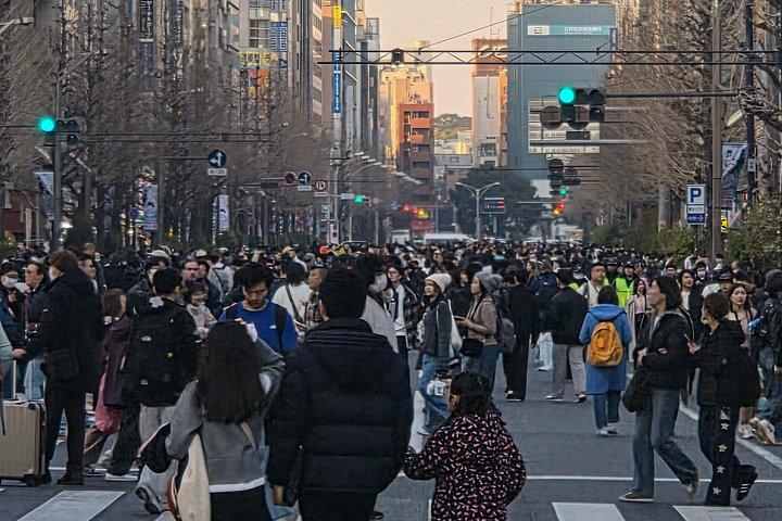 秋葉原Insiderプライベートアニメ&メイドカフェツアー