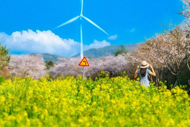 最高の済州島2日間ツアー：ユネスコと必見スポット（東部＆南西部）