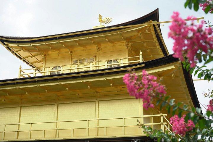 Early Bird Kyoto : 伏見稲荷、二条城＆ゴールデンパビリオン